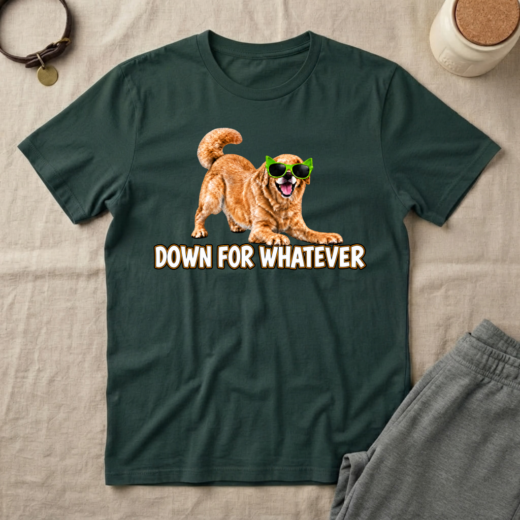 Down For Whatever Fun T-Shirt