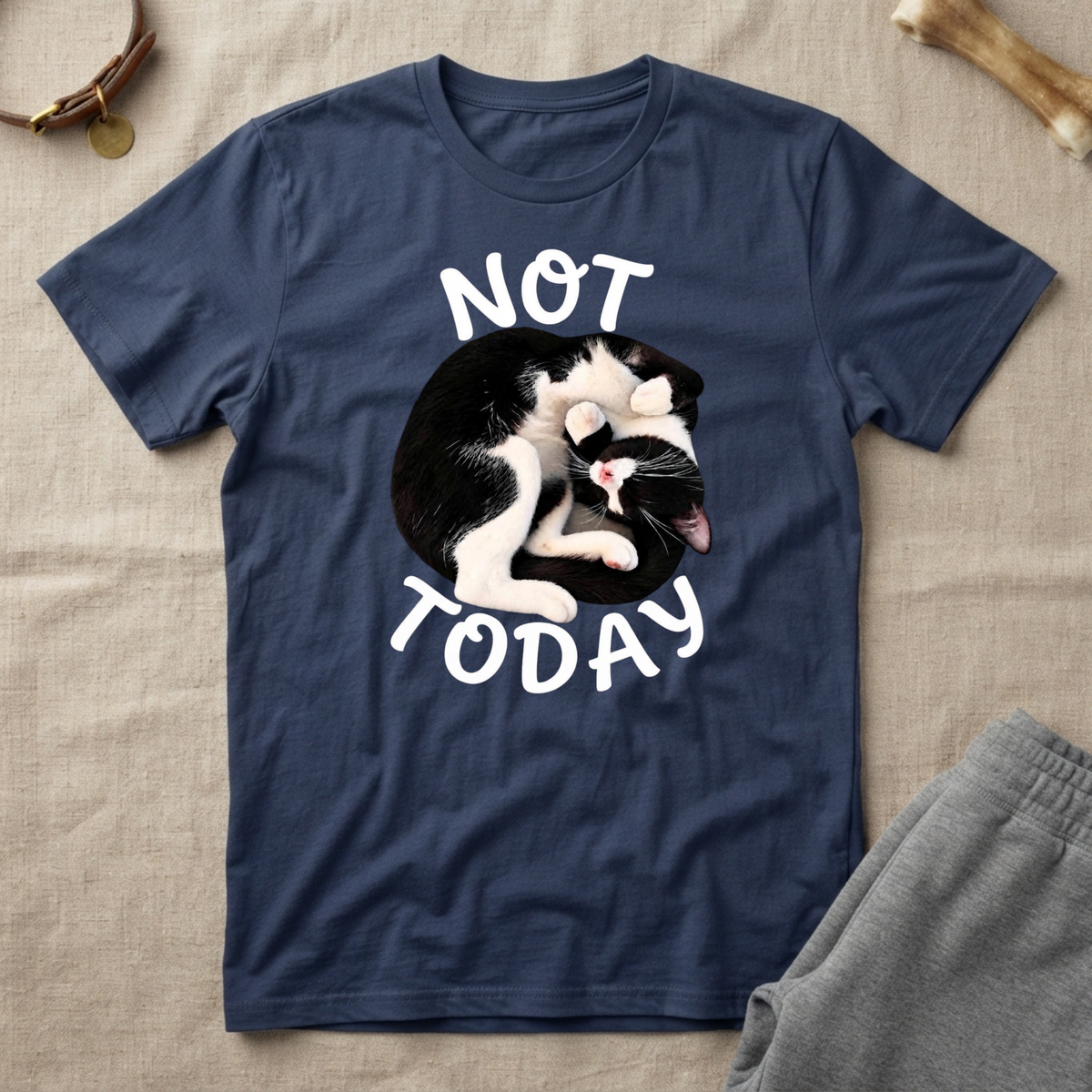 Not Today Cat T-Shirt